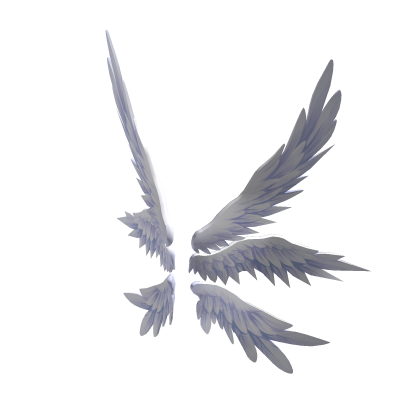 White Angel Wings