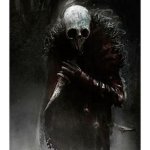 THE SHADOWS WALKERS