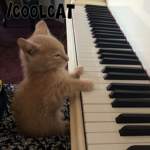 /coolcat