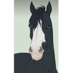Silver Saddle’s Equestrian Academy