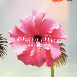 NBAOLDBOY Admin Office (Maldives)