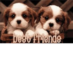 Bff Club for Friend who care