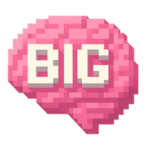 BIGBrainer