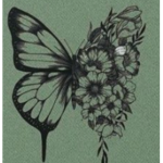 Beauty butterflies <3