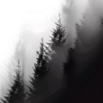 • Extinción