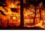 Arson!!!T-T