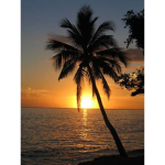 Aloha Hawaii!