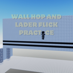 [NEW] Wall Hop & Wall Flick Practice