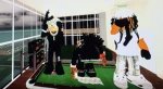 Group Thumbnail