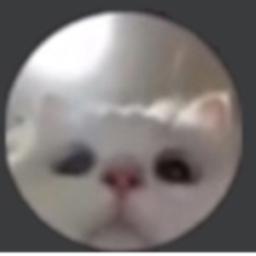 40%