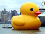 DUCKIE_STUDIOS development