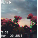 iconicc roses