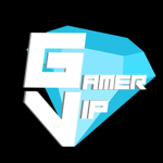Team GamerVip