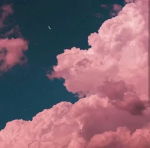 totally-aesthetic's group :D