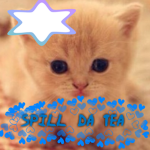 SpillDaTea YT Fans