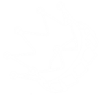 Sticko_Studio