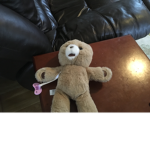 Team teddy bear fan club