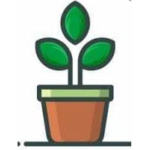 Plantitas_deroblox
