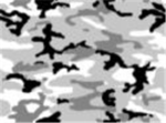 The Arctic Legion