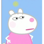 Suzy club