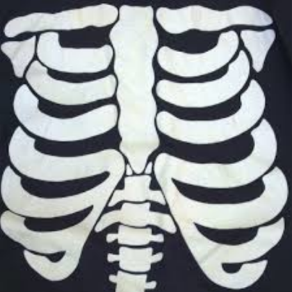 ribs Roblox decal