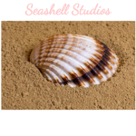 Seashell Studios!!!