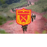 [PAOV] People's Army of Vietnam