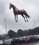 71:17