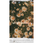 soft baby aesthetics x