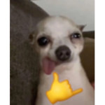 Group Thumbnail