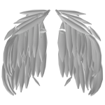 White Angel Wings