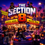 THE SECTION 8