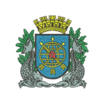Rio 川