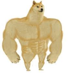 Doggi club
