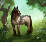 Horse outfits
