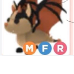 Win adopt me pets:)