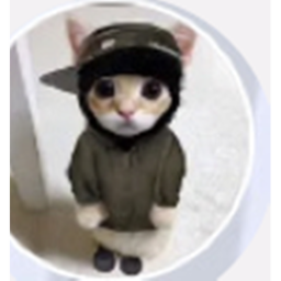 el gato obby