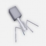 [Broken] Bacteria Simulator