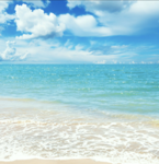 Seaside Legacy
