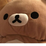 {~Bears~} <3