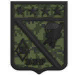 2/o. Batallón de Fusileros Paracaidistas