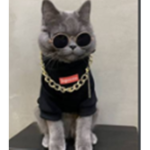 Emir_Lemur Official
