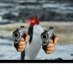 Meme Penguin Studios