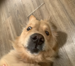 Howdy everyone!