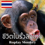 Thai Monkey Group