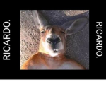 Mi Pana Ricardo Se Ve Fachero