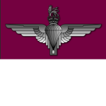 PARAS Parachute Regiment