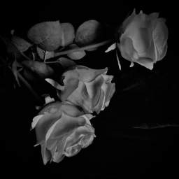 ୨୧ 🖤
