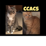 Cramped Cave and Cat Studios