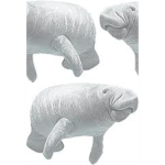 Save the Manatee Founation